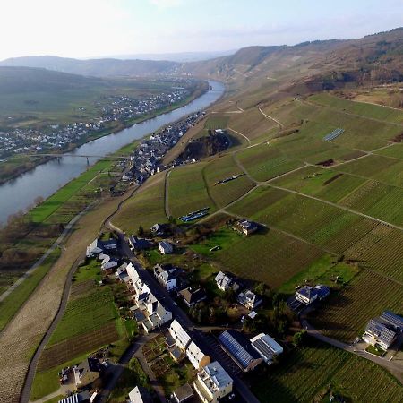 Moselie Ferienwohnung Kinheim Mosel Dış mekan fotoğraf
