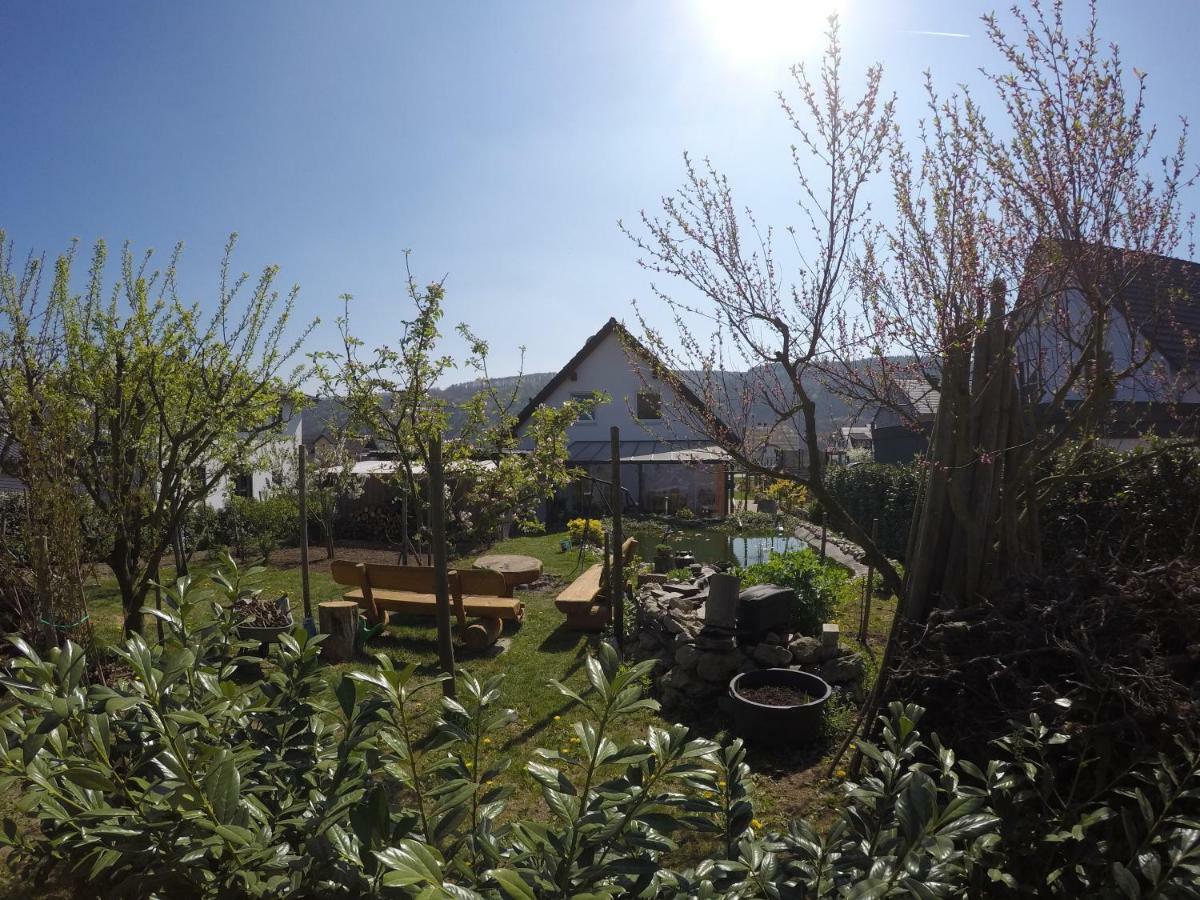 Moselie Ferienwohnung Kinheim Mosel Dış mekan fotoğraf