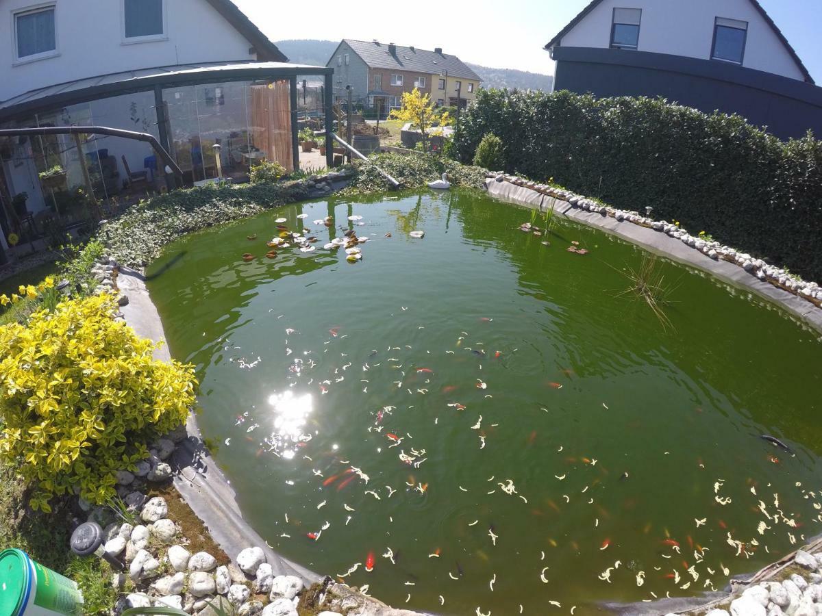 Moselie Ferienwohnung Kinheim Mosel Dış mekan fotoğraf